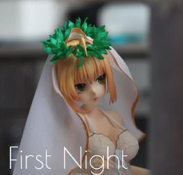 First Night | Nero Bride from Fate / Grand Order (Snow Cat)