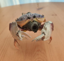 Crab Tank Mortar