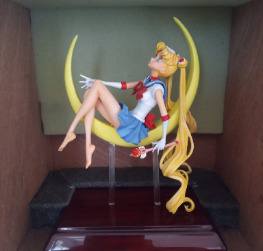 Sailor Moon on Moon