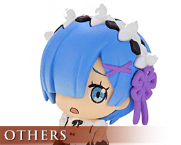OT2509  Re Zero kara Hajimeru Isekai Seikatsu Rem Darake Version