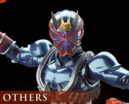 OT2687  Kamen Rider Hibiki