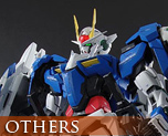 OT0209 1/60 Perfect Grade 00 Raiser