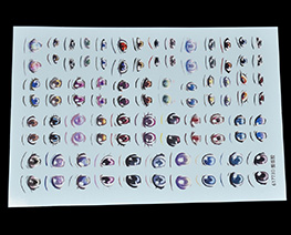 AC2970  Eye Decal Sheet M