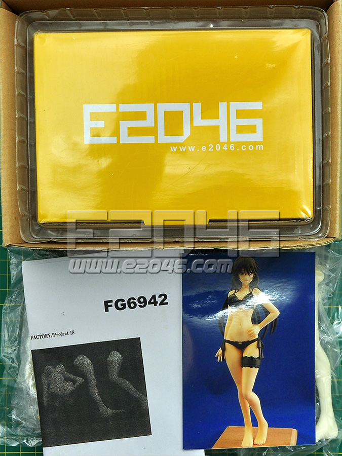 E46 Com 織斑千冬 無限斯特拉托斯 Fg6942