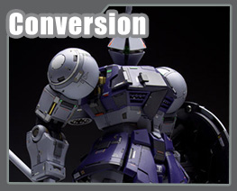 RT3956 1/100 Gyan Conversion Kit