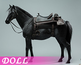 DL5298 1/6 Black Horse (DOLL) 