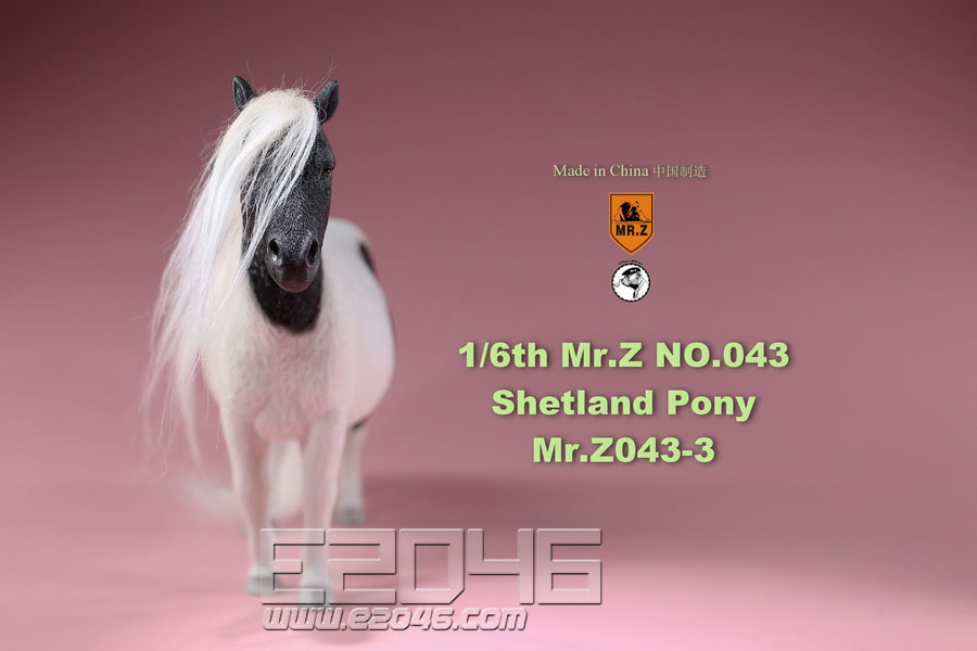 Shetland Pony C (DOLL)
