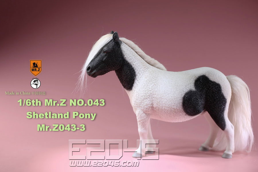 Shetland Pony C (DOLL)