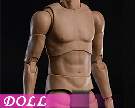 DL6486 1/6 Asian Narrow Shoulder Man Body (DOLL)