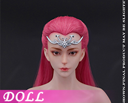 DL6479 1/6  Fairy Hero Series Female Head B (DOLL)
