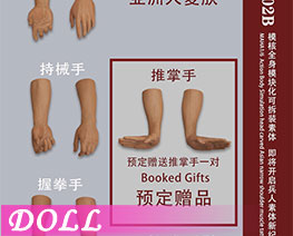 DL6120 1/6 One Piece Arm Accessories Wheat Complexion B (DOLL)