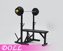DL6568 1/6 Fitness Equipment B (DOLL)