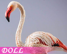 DL3682 1/6 Flamingo B (DOLL)