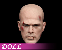 DL4050 1/6 European Men's Head Sculpture B (DOLL)