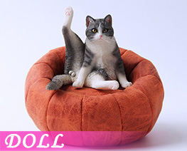 DL4679 1/6 Lazy Cat A (DOLL)