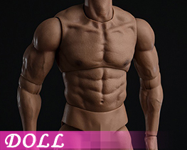 DL6242 1/6 Neckless Muscle Man Naked Dolls (DOLL)