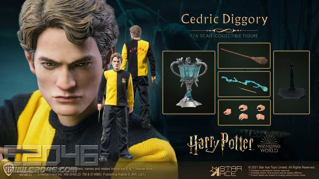 Cedric Diggory Standard Version (DOLL)