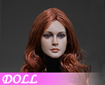 DL0883 1/6 Long hair female head (Doll)