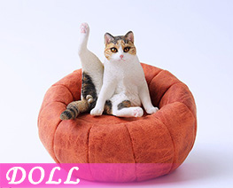 DL4685 1/6 Lazy Cat G (DOLL)