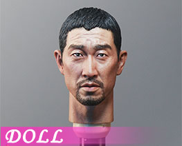 DL7069 1/6 Modern Male Head (DOLL)