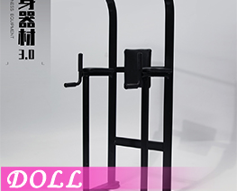 DL6567 1/6 Fitness Equipment A (DOLL)