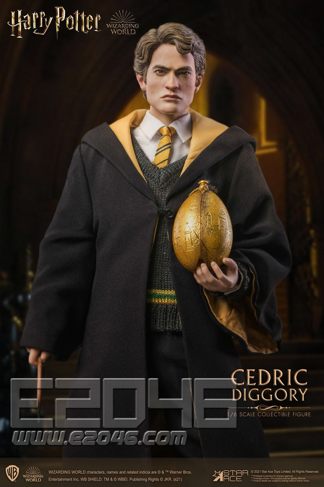 Cedric Diggory Deluxe Version (DOLL)