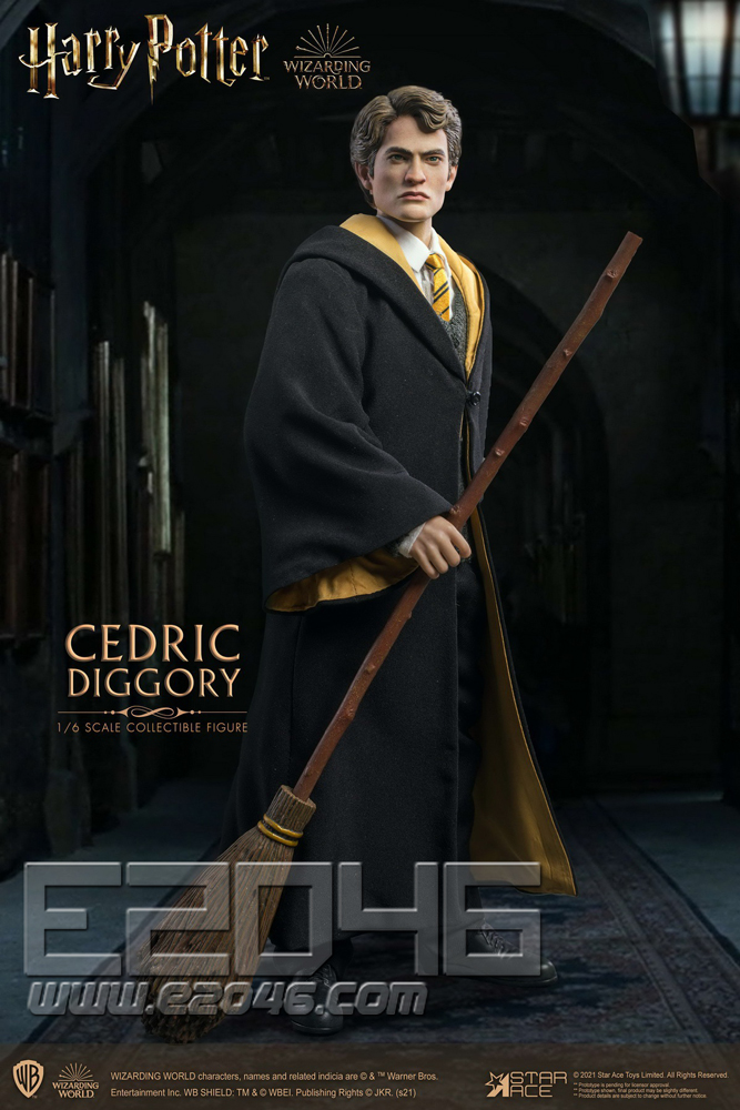 Cedric Diggory Deluxe Version (DOLL)