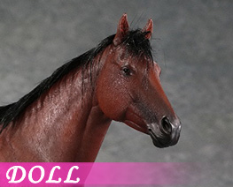 DL4315 1/6 Horse B (DOLL)