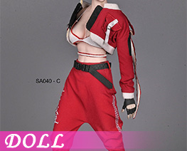DL6032 1/6 Female Agent Hero Suit C (DOLL)